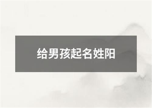 给男孩起名姓阳