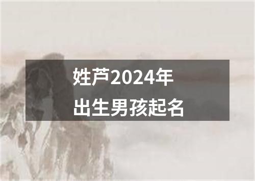 姓芦2024年出生男孩起名