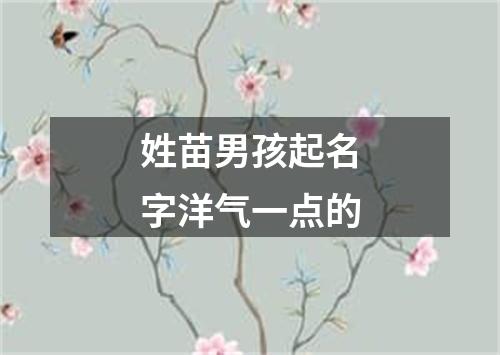 姓苗男孩起名字洋气一点的