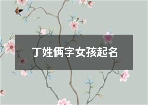 丁姓俩字女孩起名