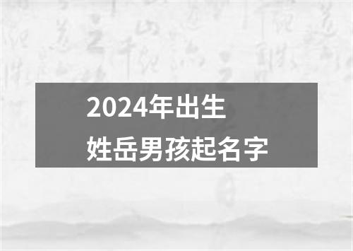 2024年出生姓岳男孩起名字