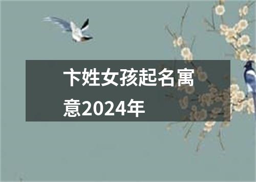 卞姓女孩起名寓意2024年