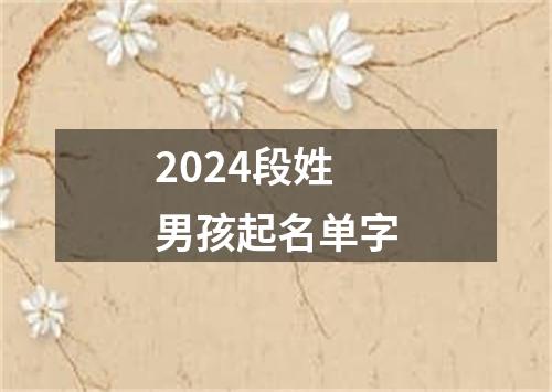 2024段姓男孩起名单字