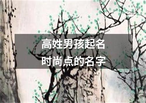 高姓男孩起名时尚点的名字