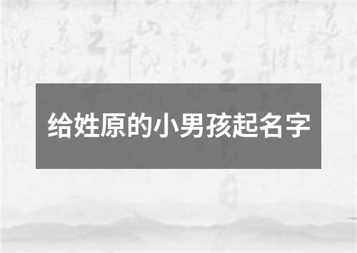 给姓原的小男孩起名字