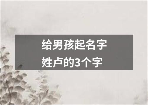 给男孩起名字姓卢的3个字