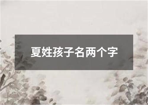 夏姓孩子名两个字