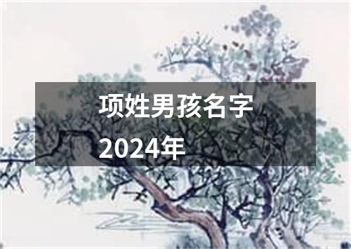 项姓男孩名字2024年