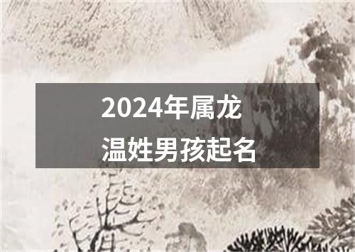 2024年属龙温姓男孩起名