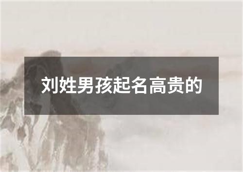 刘姓男孩起名高贵的