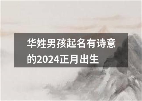 华姓男孩起名有诗意的2024正月出生