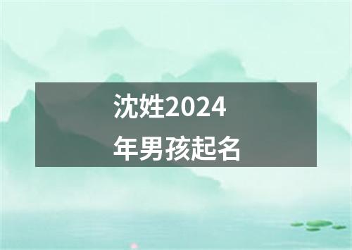 沈姓2024年男孩起名