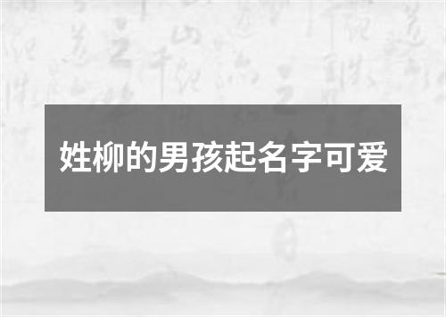 姓柳的男孩起名字可爱