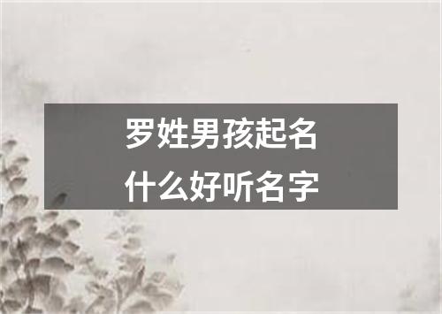 罗姓男孩起名什么好听名字