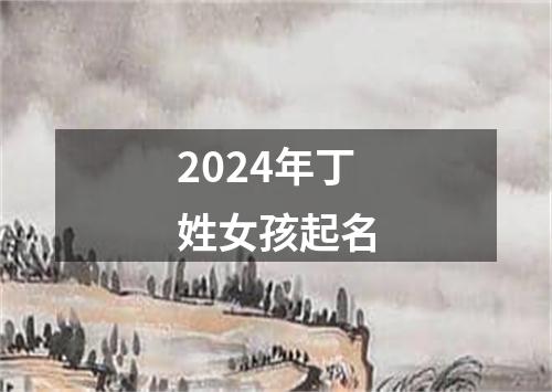 2024年丁姓女孩起名