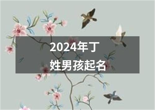 2024年丁姓男孩起名