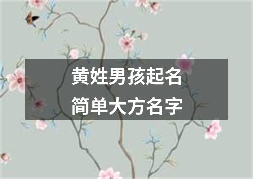 黄姓男孩起名简单大方名字