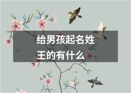 给男孩起名姓王的有什么