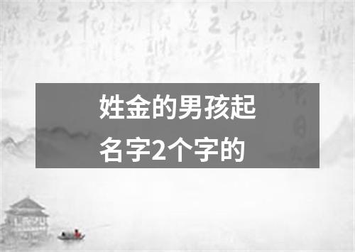 姓金的男孩起名字2个字的