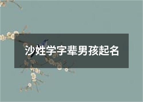 沙姓学字辈男孩起名