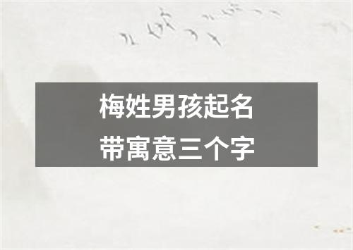 梅姓男孩起名带寓意三个字