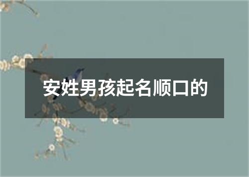 安姓男孩起名顺口的