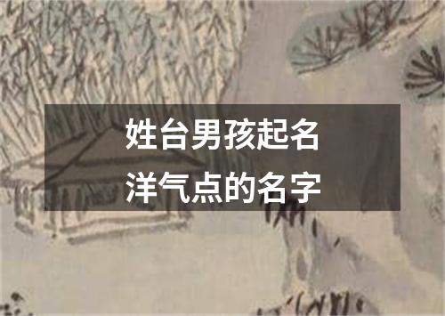 姓台男孩起名洋气点的名字