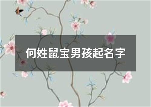 何姓鼠宝男孩起名字