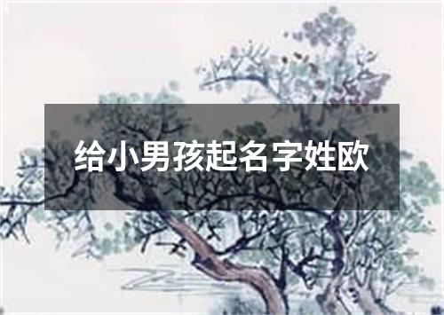 给小男孩起名字姓欧