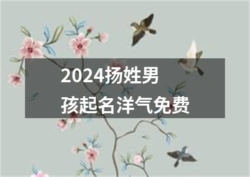 2024扬姓男孩起名洋气免费