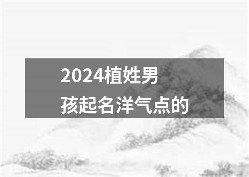 2024植姓男孩起名洋气点的