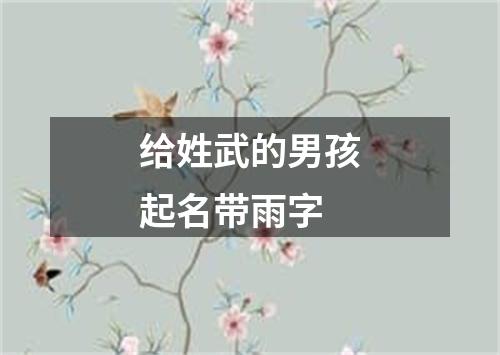 给姓武的男孩起名带雨字