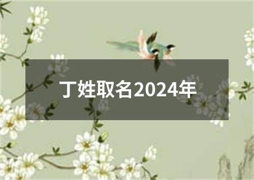 丁姓取名2024年