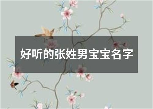 好听的张姓男宝宝名字