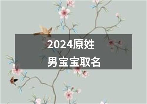 2024原姓男宝宝取名