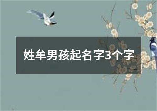 姓牟男孩起名字3个字