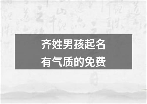 齐姓男孩起名有气质的免费