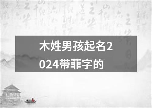 木姓男孩起名2024带菲字的