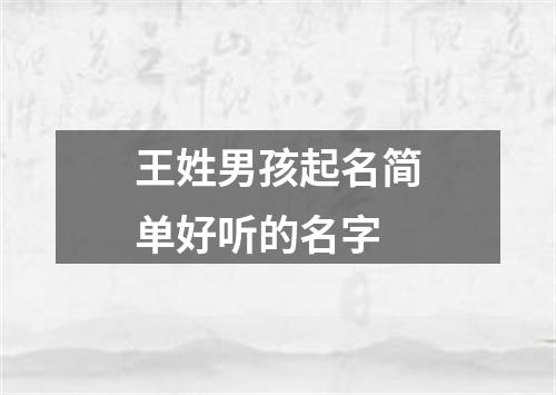 王姓男孩起名简单好听的名字