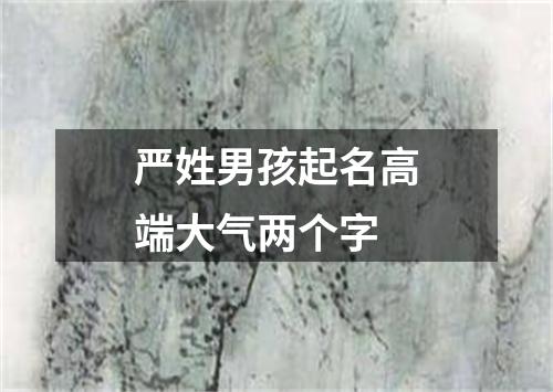 严姓男孩起名高端大气两个字