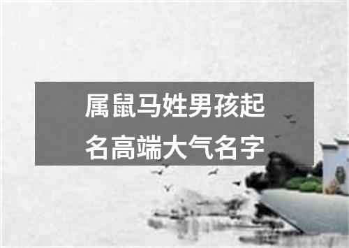 属鼠马姓男孩起名高端大气名字