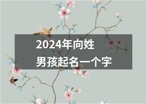 2024年向姓男孩起名一个字