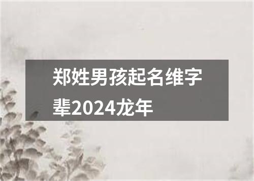 郑姓男孩起名维字辈2024龙年