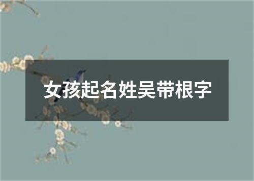 女孩起名姓吴带根字