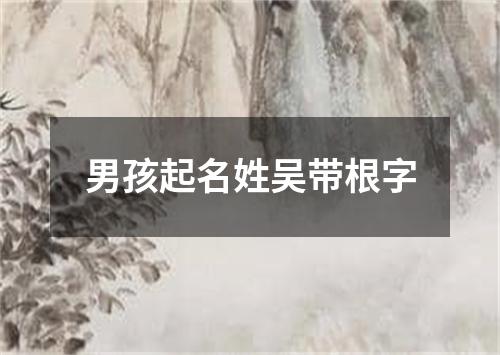 男孩起名姓吴带根字