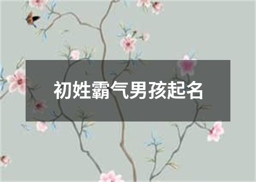 初姓霸气男孩起名