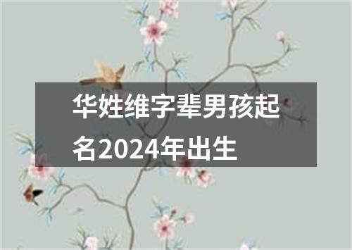 华姓维字辈男孩起名2024年出生