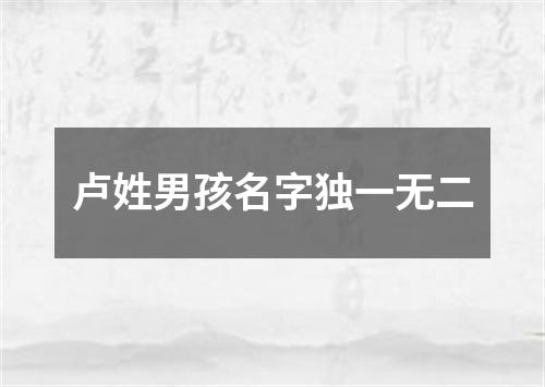 卢姓男孩名字独一无二