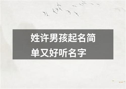 姓许男孩起名简单又好听名字