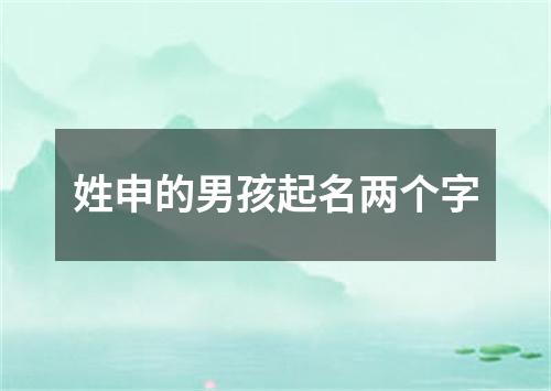 姓申的男孩起名两个字